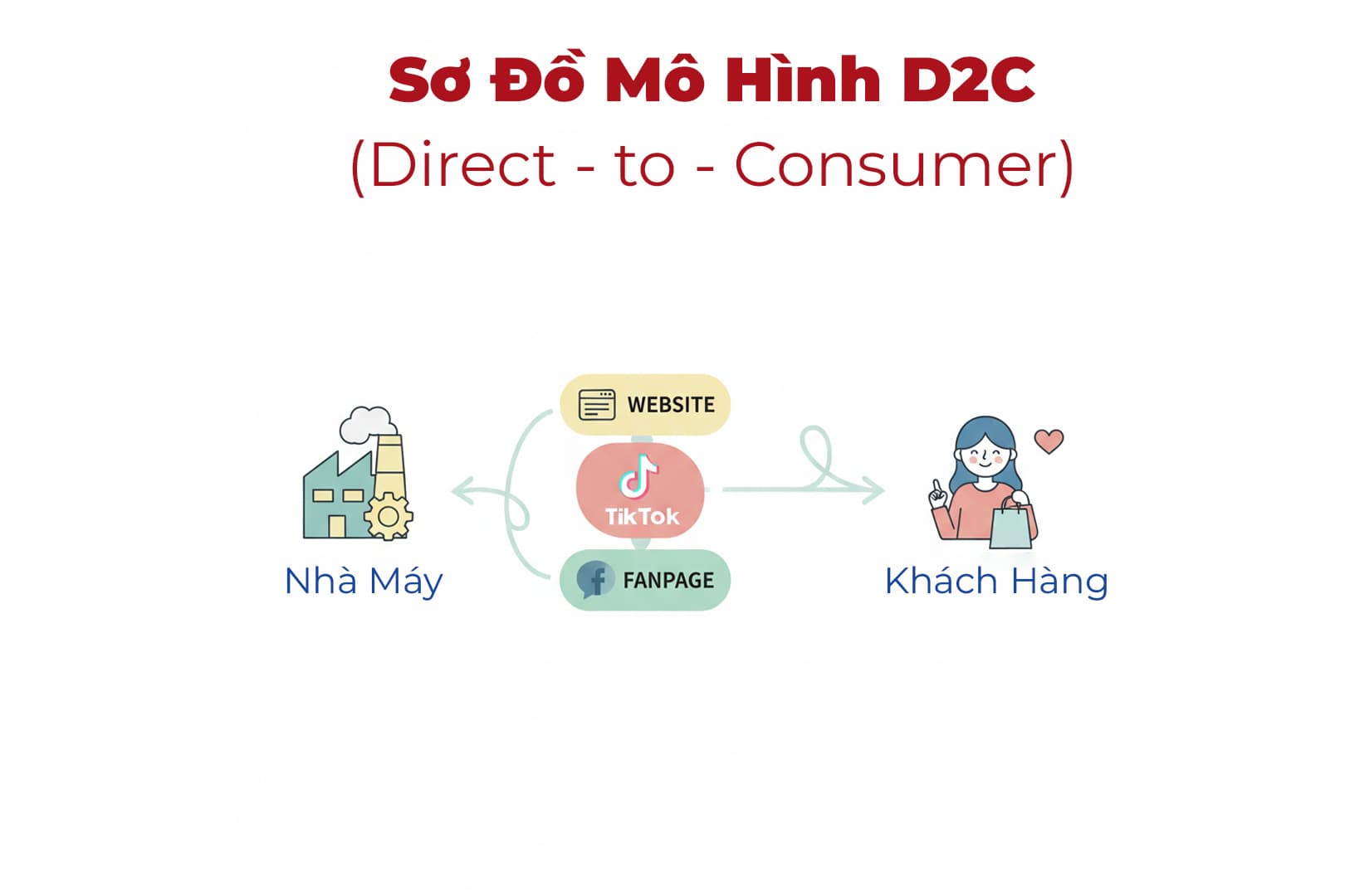 Ảnh: sơ đồ mô hình D2C